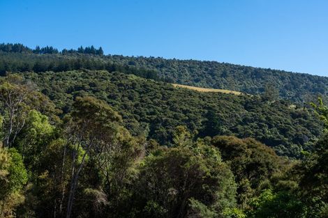 Photo of property in 16 Rowland Street, Osborne, Port Chalmers, 9081