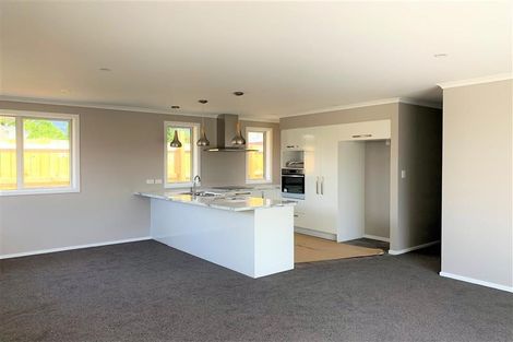 Photo of property in 36b Croucher Street, Richmond, 7020