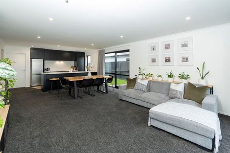 Photo of property in 16 Trewern Avenue, Chartwell, Hamilton, 3210