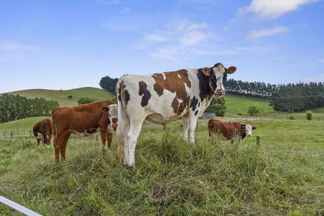 Photo of property in 26 Puriri Road, Waerenga, Te Kauwhata, 3782