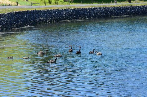 Photo of property in 228 Harington Point Road, Lower Portobello, Dunedin, 9077