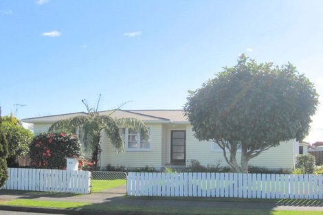 Photo of property in 40 Balmoral Street, Levin, 5510