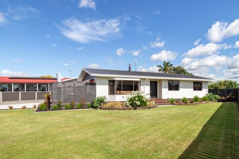 Photo of property in 20 Miller Place, Ngatea, 3503