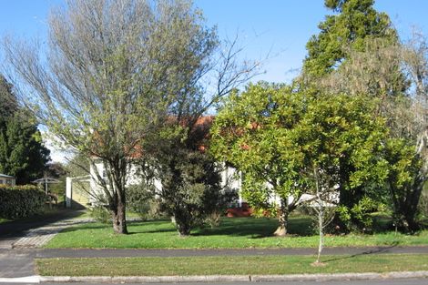 Photo of property in 82 Alfred Street, Fairfield, Hamilton, 3214