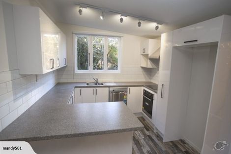 Photo of property in 104 Sullivan Road, Saint Andrews, Timaru, 7972