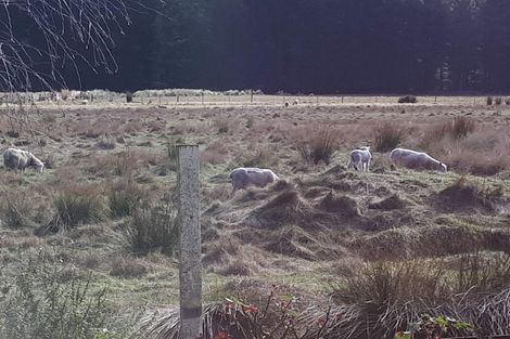 Photo of property in 150 Kings Road, Leithfield, 7481