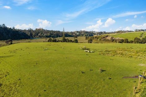 Photo of property in 167 Lennon Access Road, Stillwater, Silverdale, 0993