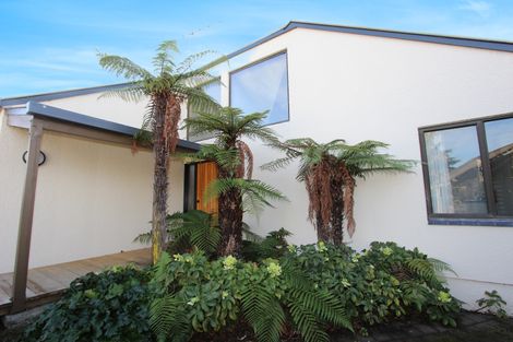 Photo of property in 3 Harvey Place, Renwick, 7204