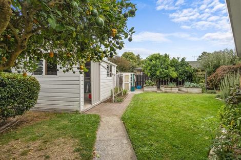 Photo of property in 11 Conrad Place, Leamington, Cambridge, 3432