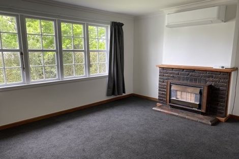 Photo of property in 78 Guy Avenue, Takaro, Palmerston North, 4410