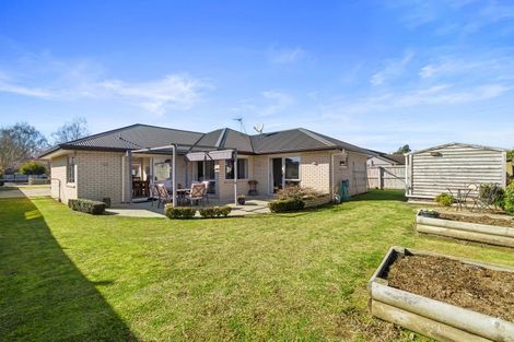Photo of property in 452b Thames Street, Morrinsville, 3300