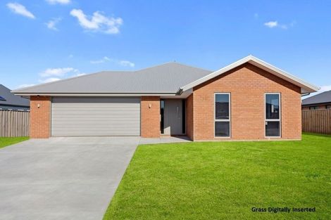 Photo of property in 8 Denton Street, Amberley, 7410