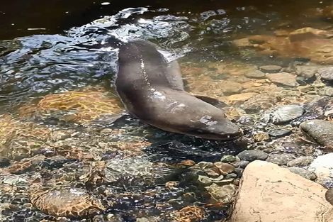 Photo of property in 1597 Turakina Valley Road, Marton, Whanganui, 4581