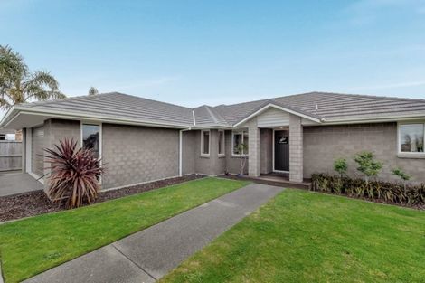 Photo of property in 24 Butterworth Crescent, Papamoa Beach, Papamoa, 3118