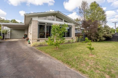 Photo of property in 16 Patrick Place, Fitzroy, Hamilton, 3206