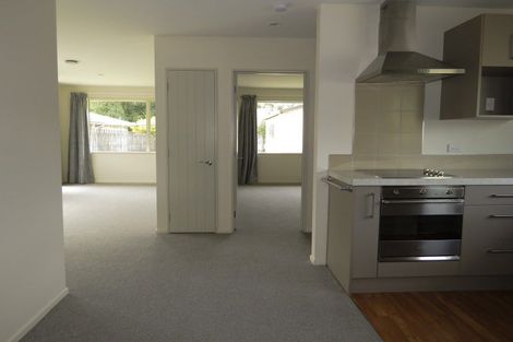 Photo of property in 41a Dick Street, Reefton, 7830