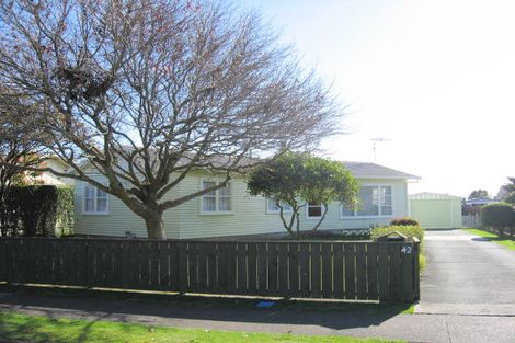 Photo of property in 42 Balmoral Street, Levin, 5510