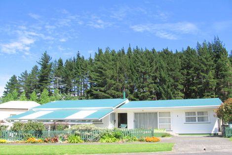 Photo of property in 8 Franklin Street, Mangapapa, Gisborne, 4010