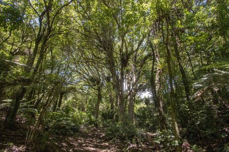 Photo of property in 425b Lund Road, Aongatete, Katikati, 3178