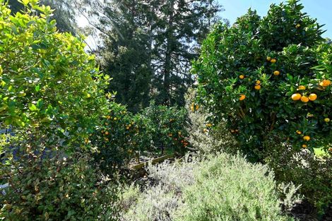 Photo of property in 87 Hartway Grove, Coatesville, Albany, 0792