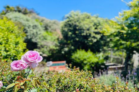 Photo of property in 20 Freyberg Crescent, Waikanae Beach, Waikanae, 5036