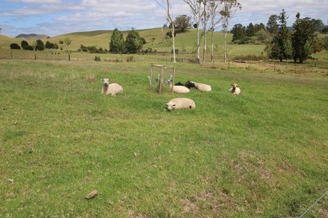 Photo of property in 230b State Highway 10, Pakaraka, Kaikohe, 0472