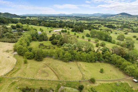 Photo of property in 31 Plane Tree Lane Lane, Ruatangata West, 0185