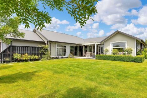 Photo of property in 122 Pegasus Boulevard, Pegasus, 7612