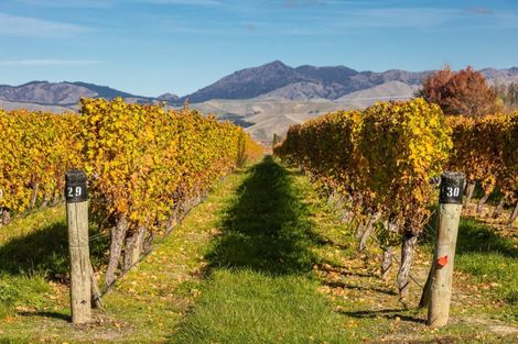 Photo of property in 322 Middle Renwick Road, Springlands, Blenheim, 7271