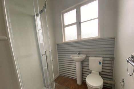 Photo of property in 3 Treloar Street, Fairfield, Hamilton, 3214