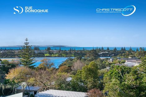 Photo of property in 25 Moffat Road, Red Beach, 0932