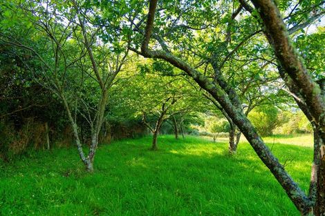 Photo of property in 759 Mount Fyffe Road, Kaikoura Flat, Kaikoura, 7371