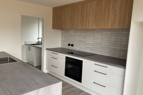 Photo of property in 17 Crosby Street, Mairehau, Christchurch, 8013