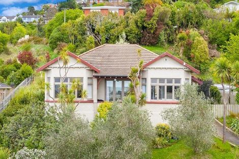Photo of property in 56 Norfolk Street, Saint Clair, Dunedin, 9012