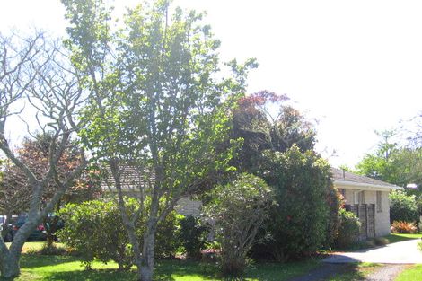 Photo of property in 3 Queen Street, Waihi, 3610