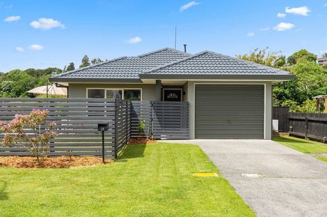 Photo of property in 25 Sunvale Place, Gate Pa, Tauranga, 3112
