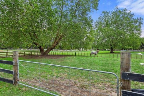 Photo of property in 248a Tauwhare Road, Tamahere, Hamilton, 3283