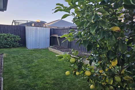 Photo of property in 85 Kittyhawk Avenue, Wigram, Christchurch, 8042