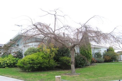 Photo of property in 17 King Street, Taradale, Napier, 4112