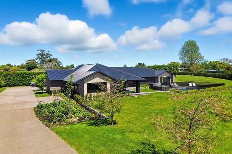 Photo of property in 1 Waimanu Lane, Bethlehem, Tauranga, 3110