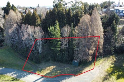 Photo of property in 9 Miro Park Lane, Ohakune, 4625