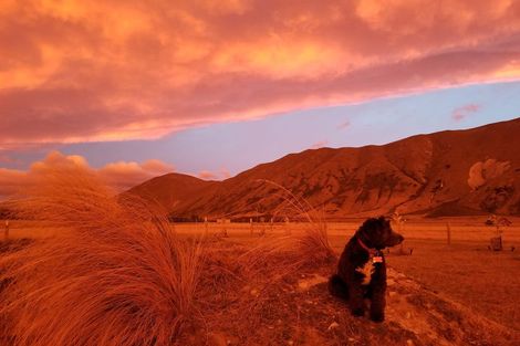 Photo of property in 356 Manuka Terrace, Ben Ohau, Twizel, 7999