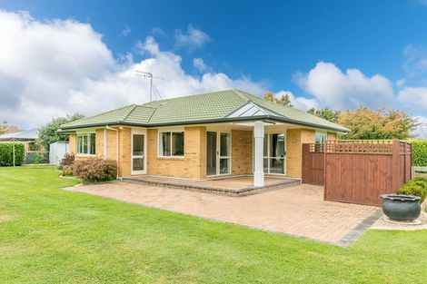 Photo of property in 12 Shadbolt Drive, Leamington, Cambridge, 3432