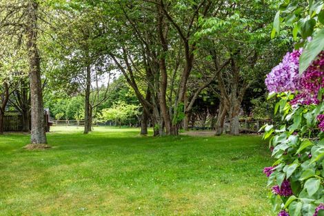 Photo of property in 202 Palmer Mill Road, Wairakei, Taupo, 3384