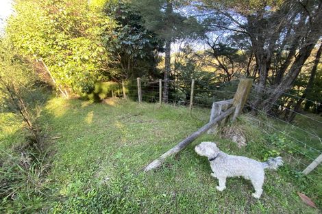 Photo of property in 2480b Waihi Whangamata Road, Whangamata, 3691