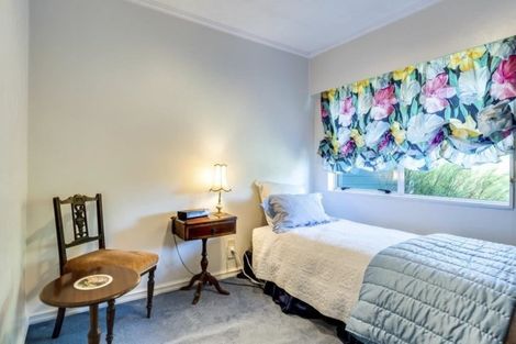 Photo of property in 43-45 Mount Herbert Road, Waipukurau, 4200