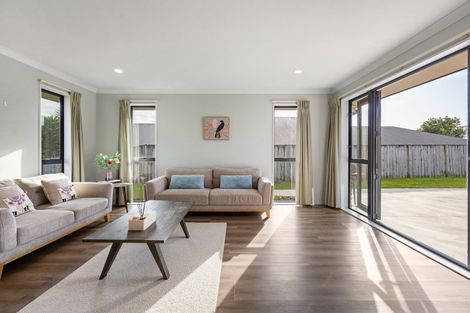 Photo of property in 48 Magellan Rise, Flagstaff, Hamilton, 3210