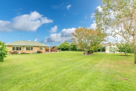 Photo of property in 12 Shadbolt Drive, Leamington, Cambridge, 3432