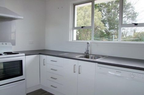 Photo of property in 217 Union Street, Milton, 9220