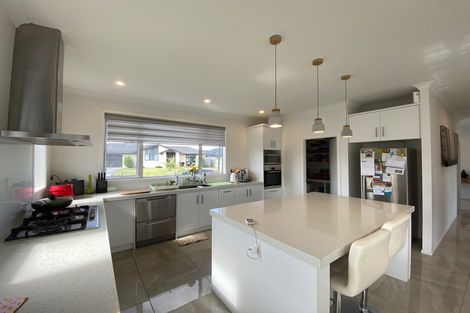 Photo of property in 17 Beaufort Place, Flagstaff, Hamilton, 3210